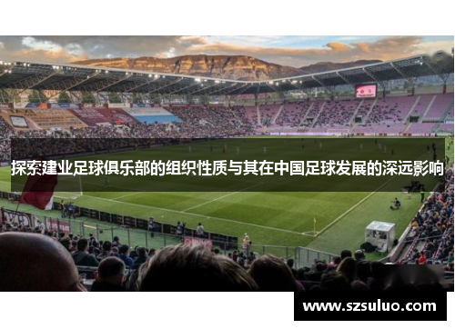 探索建业足球俱乐部的组织性质与其在中国足球发展的深远影响